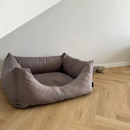 Apartment Rainbow 49b *